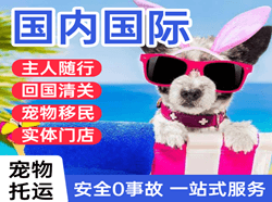 长沙航空邮寄国际宠物托运 【国